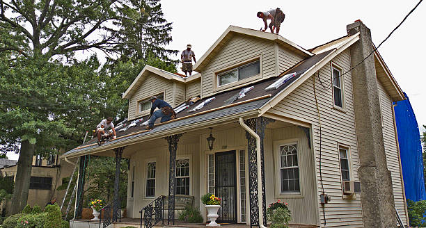 Best Flat Roof Repair Services  in Waialua, HI